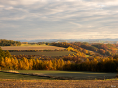 週末ぶらり旅 その8 週末ぶらり旅 その8