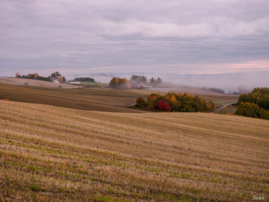 週末ぶらり旅　その２
