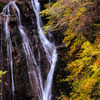 秋の王滝