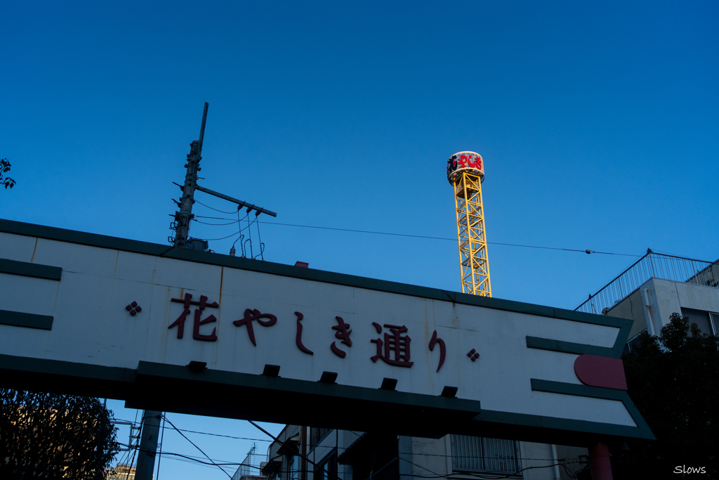 花やしきを照らす