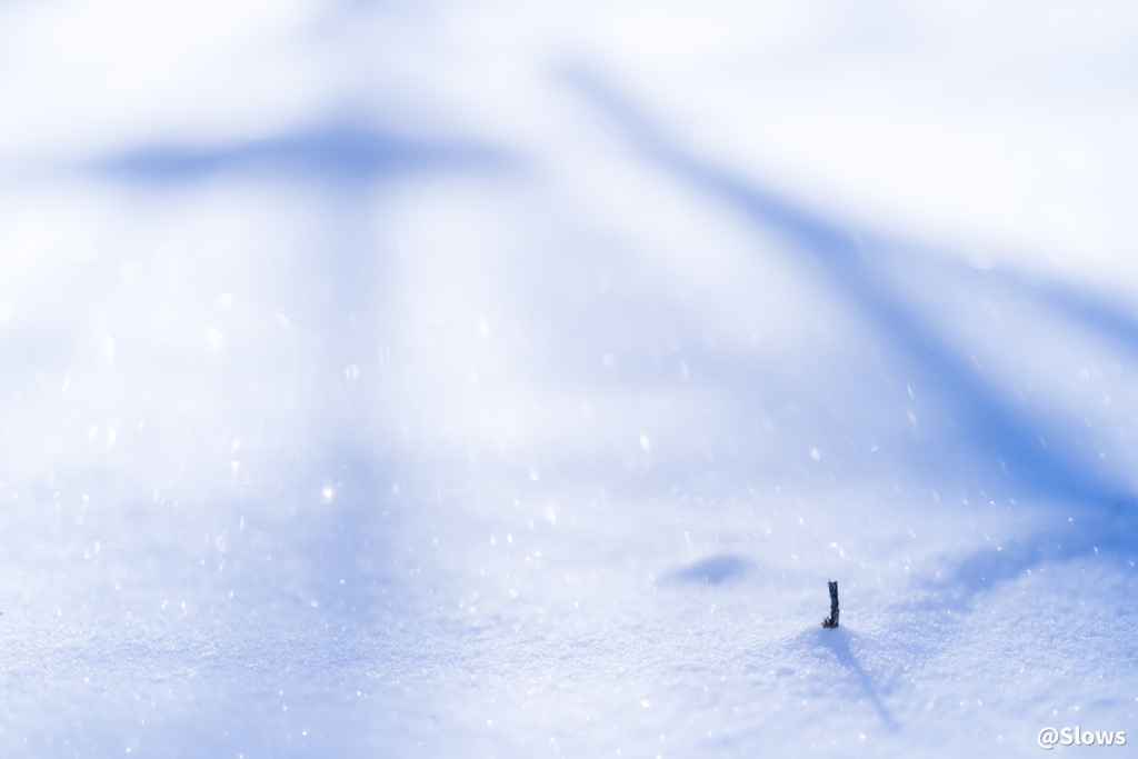 Mellow snow Slows down the day