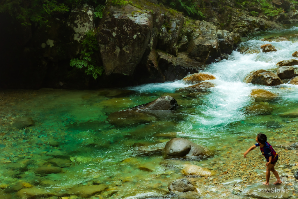 彼の夏