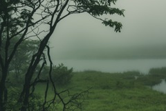 霧霧舞3