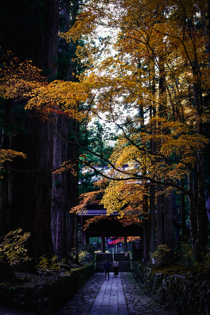 地参地賞