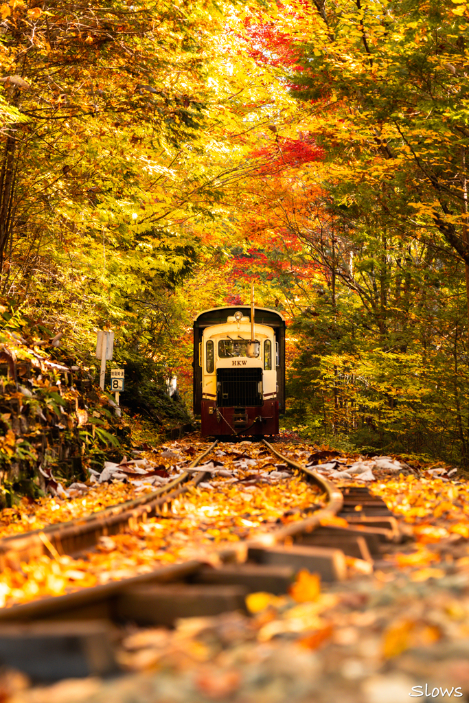 森林鉄道