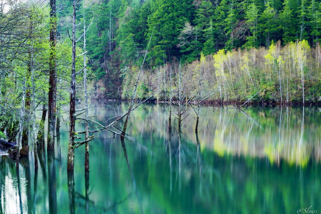 春の湖畔