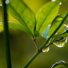 雨の日をタノシム