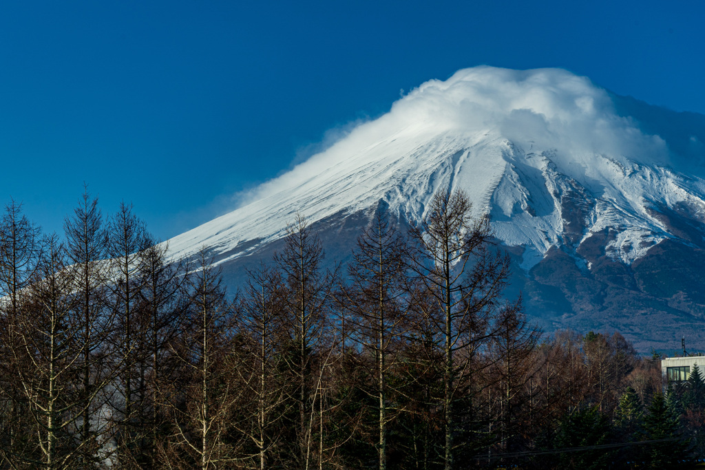 朝霧に惑わされてしまったの巻