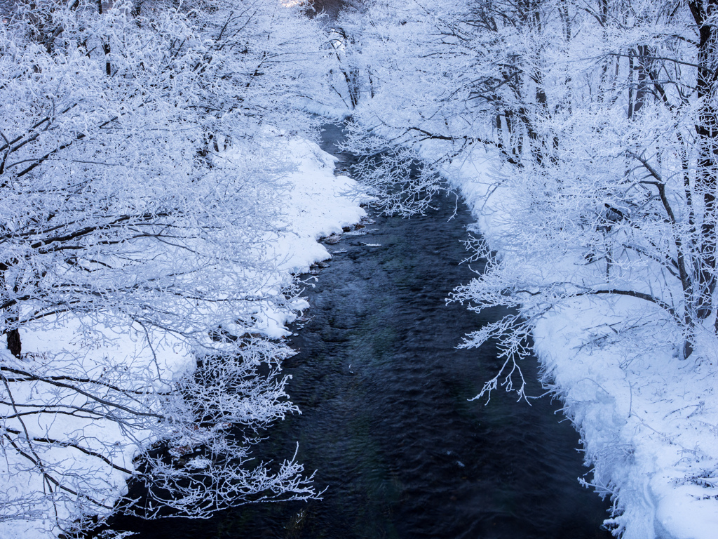 凍てつく川辺