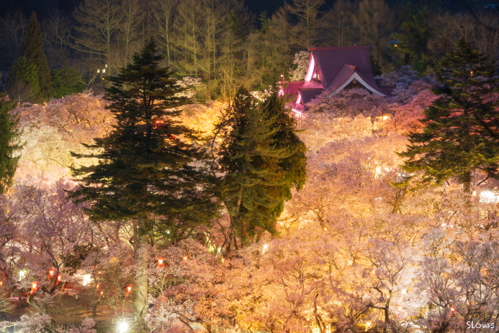 伊那谷桜道中 高遠