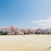 南信州桜探訪  少年の休日