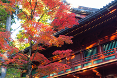 日光山輪王寺