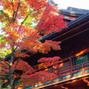 日光山輪王寺