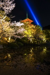 春の清水寺