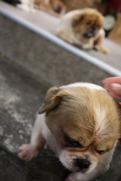 20181028182319_IMG_2706