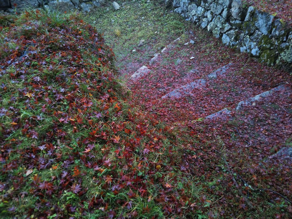 雨上がりの城址