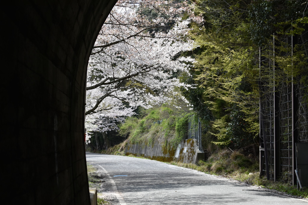 トンネルから