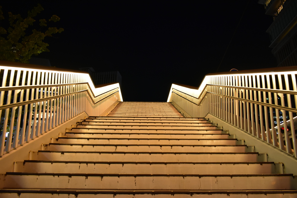 輝く階段