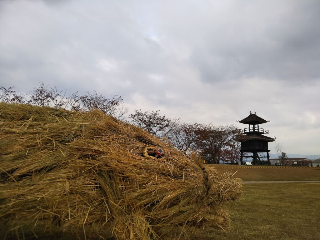 晩秋の史跡公園