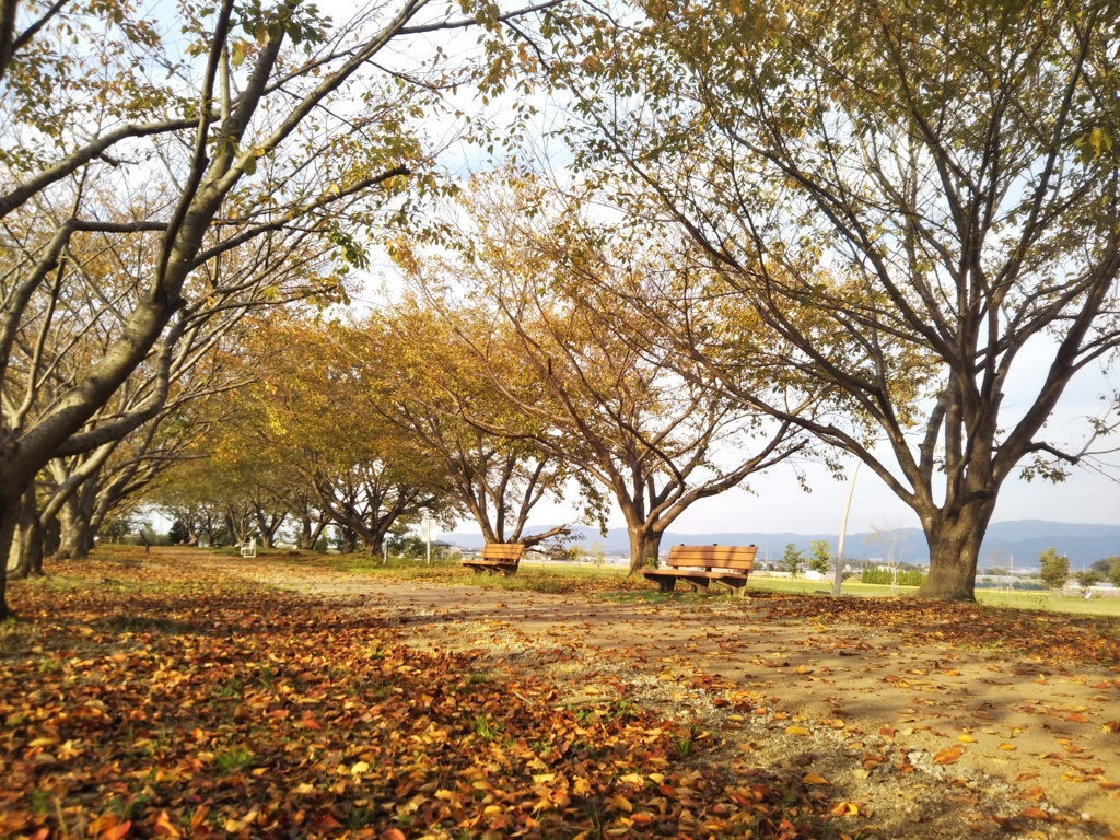 秋の史跡公園