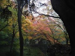 雨上がりの城址