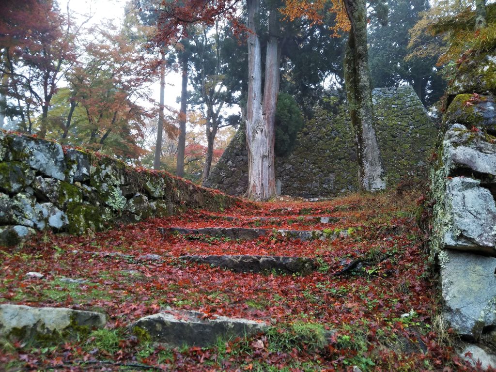 雨上がりの城址