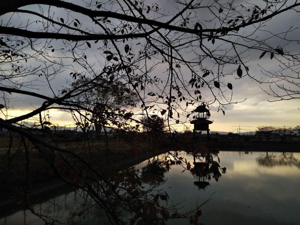 晩秋の史跡公園