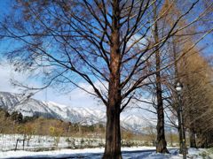 雪山を背に