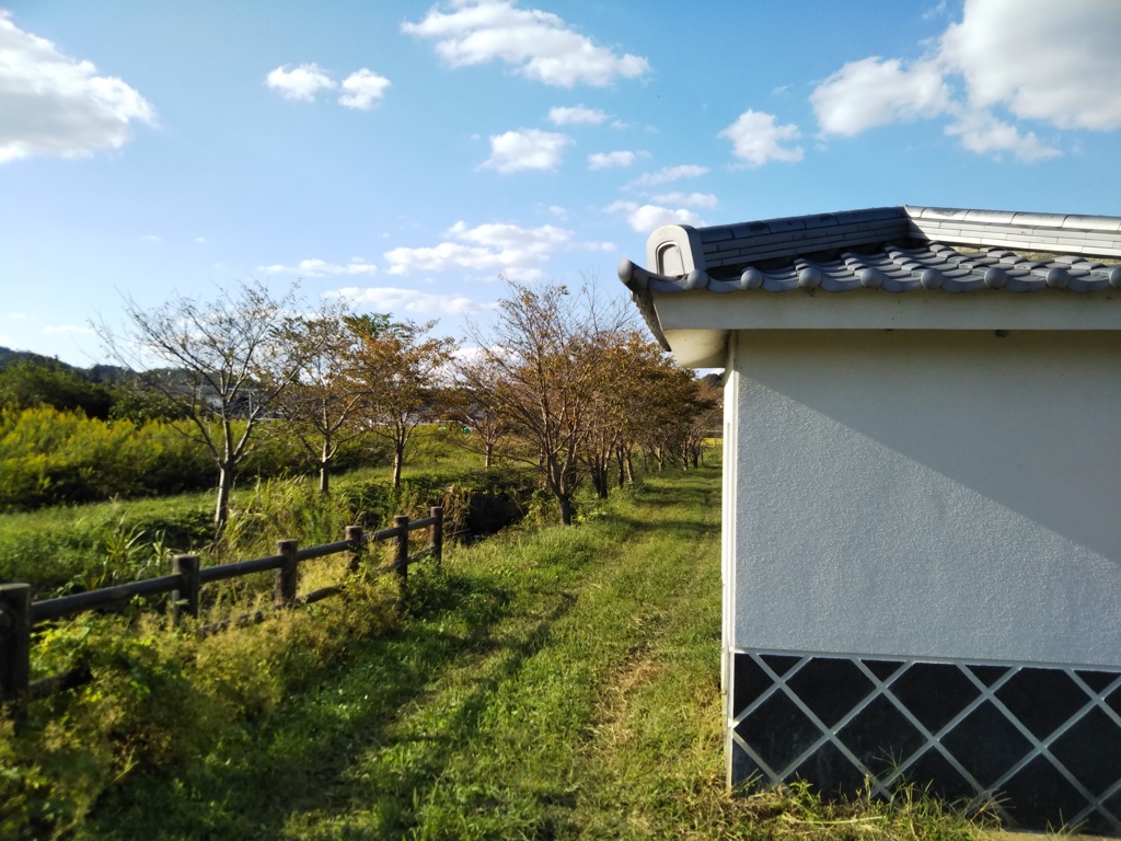 田舎の小道