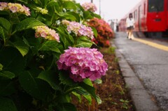 EM126644②