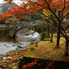 DSC00995