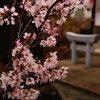 DSC09718
