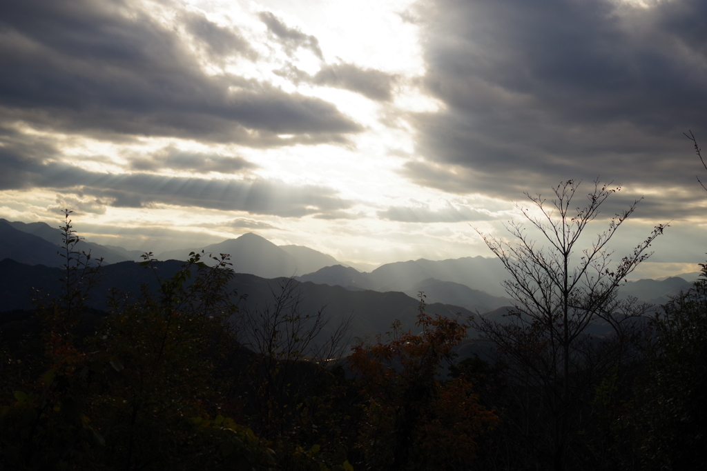 高尾山～風景