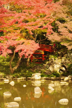 小石川後楽園の紅葉