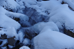 凍る小川