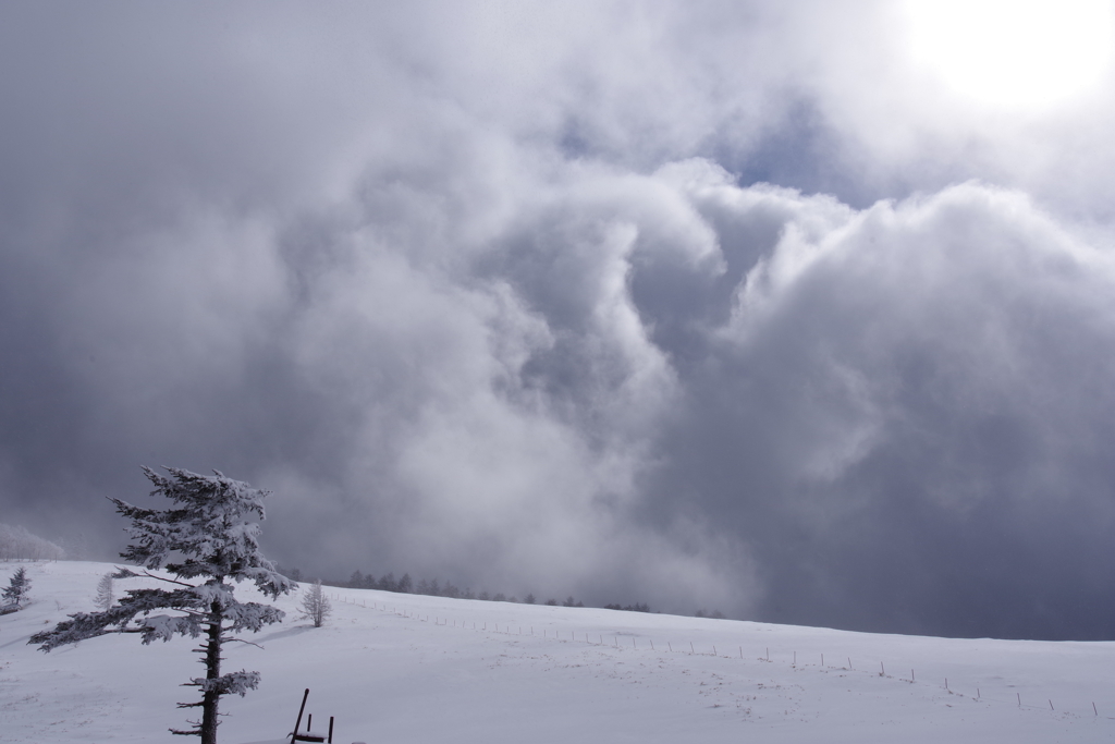 吹雪いている美ヶ原高原