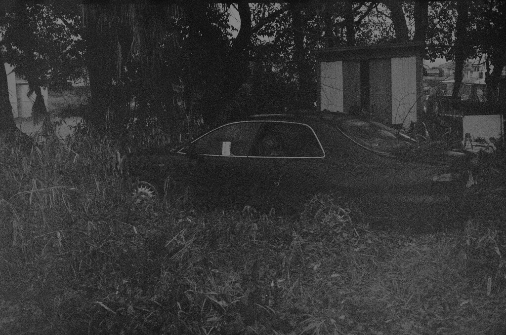 見捨てられた車