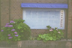 青いヒサシ