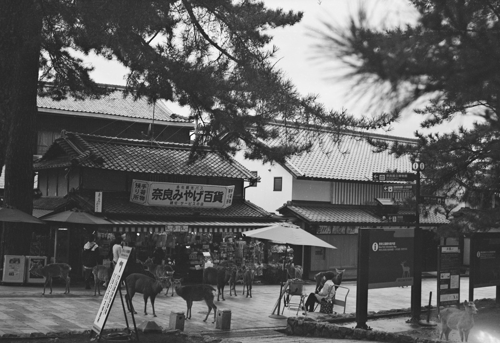 奈良の風景