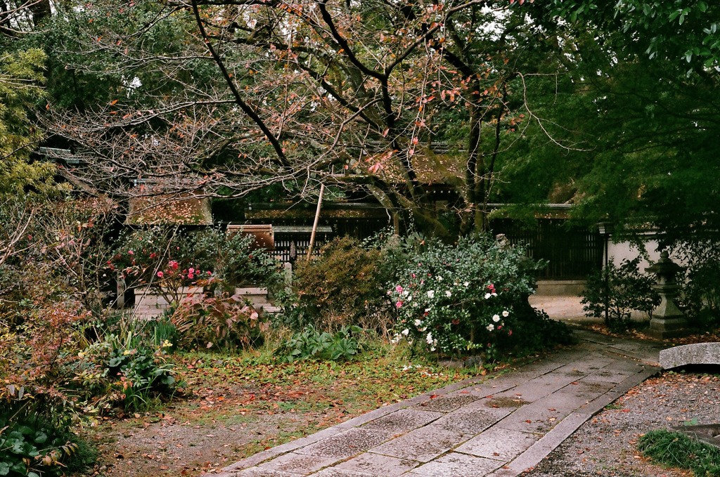 秋の京都御所1