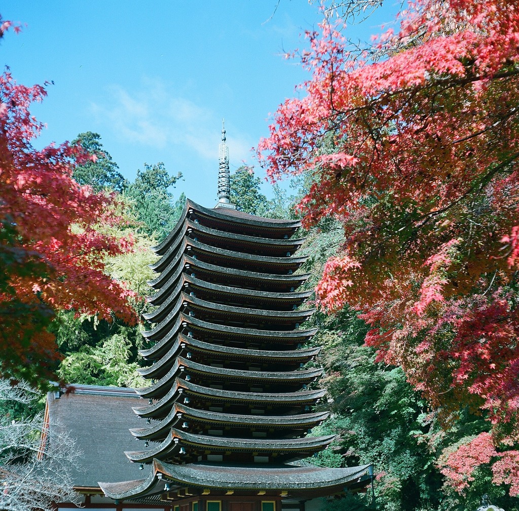 秋の談山神社7