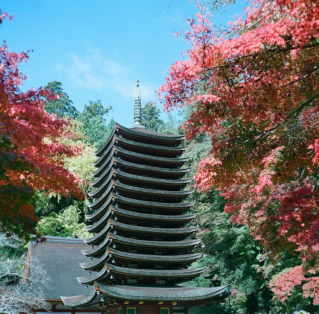 秋の談山神社7