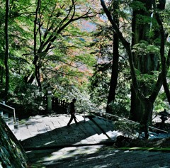 秋の談山神社9