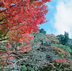 秋の談山神社8