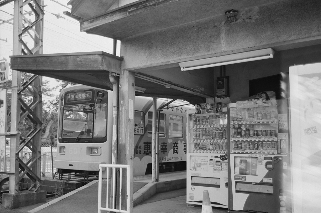 浜寺駅前ツバメの巣