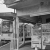 浜寺駅前ツバメの巣