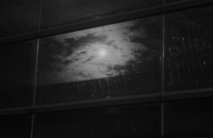 雨上がり