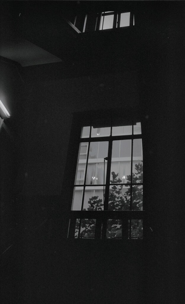 新井ビルの階段窓