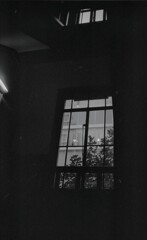 新井ビルの階段窓