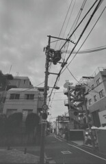 キリンの階段